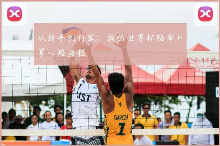 从新手到行家:我的世界杯赔率计算心路历程