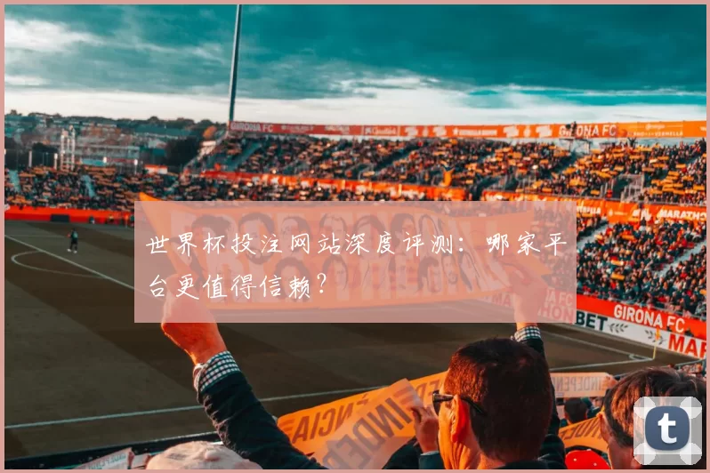 世界杯投注网站深度评测：哪家平台更值得信赖？