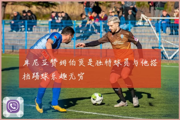 库尼亚赞姆伯莫是独特球员与他搭档踢球乐趣无穷