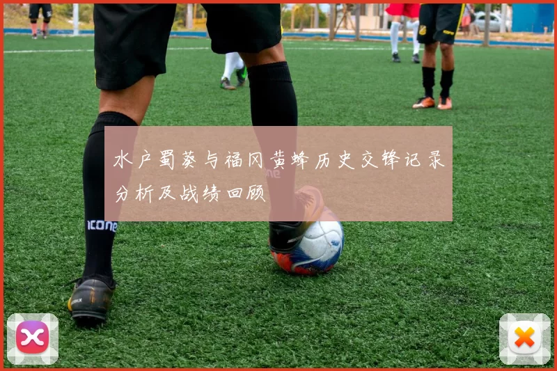 水户蜀葵与福冈黄蜂历史交锋记录分析及战绩回顾