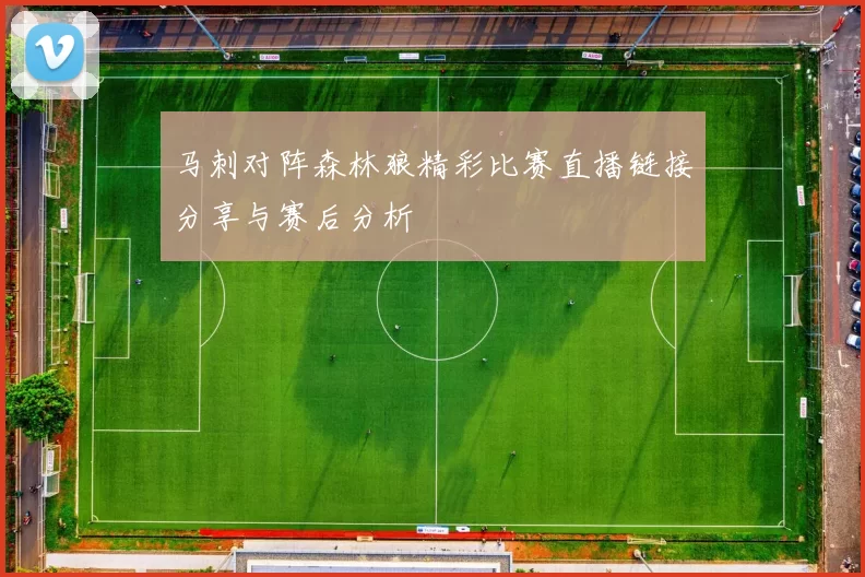 马刺对阵森林狼精彩比赛直播链接分享与赛后分析