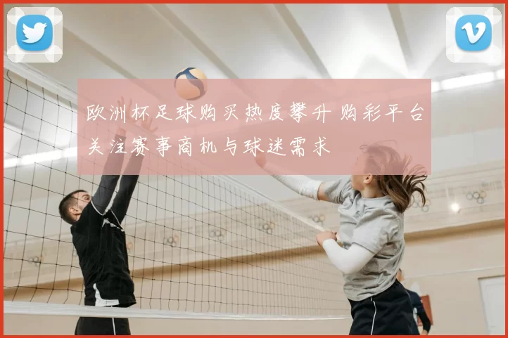 欧洲杯足球购买热度攀升 购彩平台关注赛事商机与球迷需求
