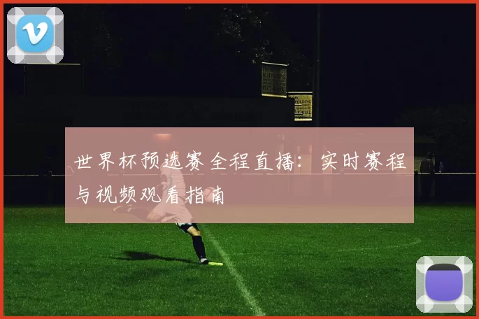 世界杯预选赛全程直播:实时赛程与视频观看指南