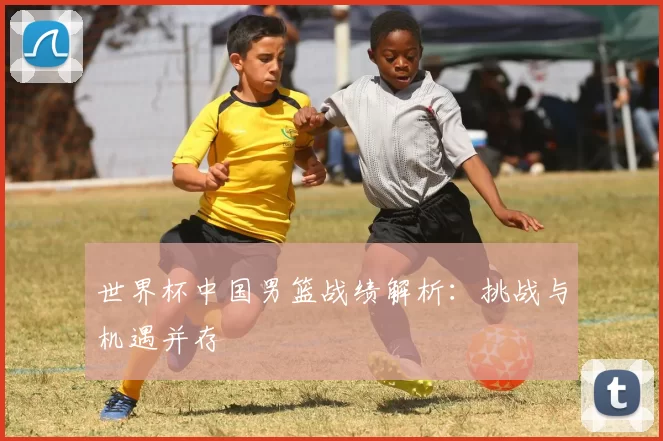 世界杯中国男篮战绩解析：挑战与机遇并存
