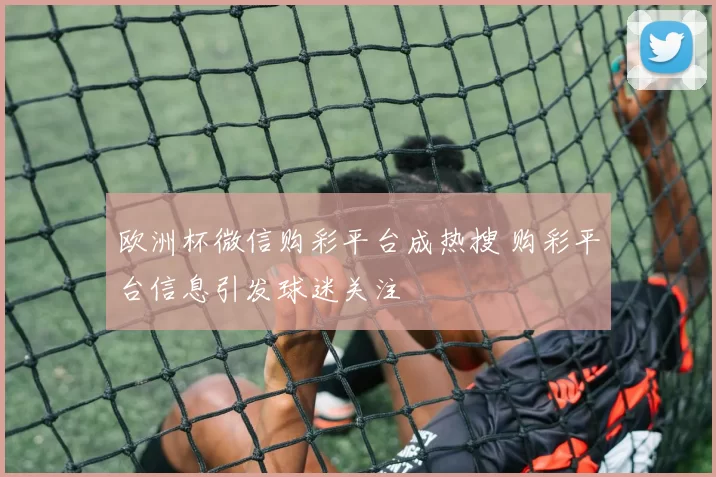 欧洲杯微信购彩平台成热搜 购彩平台信息引发球迷关注