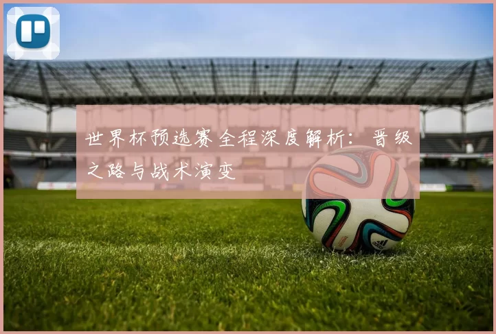 世界杯预选赛全程深度解析:晋级之路与战术演变